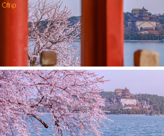 BẮC KINH – HÀNG CHÂU – Ô TRẤN TÂY SÁCH– THƯỢNG HẢI 7N6Đ BAY CA