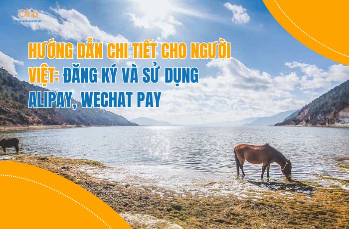 Hướng dẫn chi tiết cho người Việt: Đăng ký và sử dụng Alipay, WeChat Pay