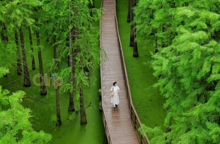 DU NGOẠN GIANG NAM 5N4Đ – NO SHOPPING