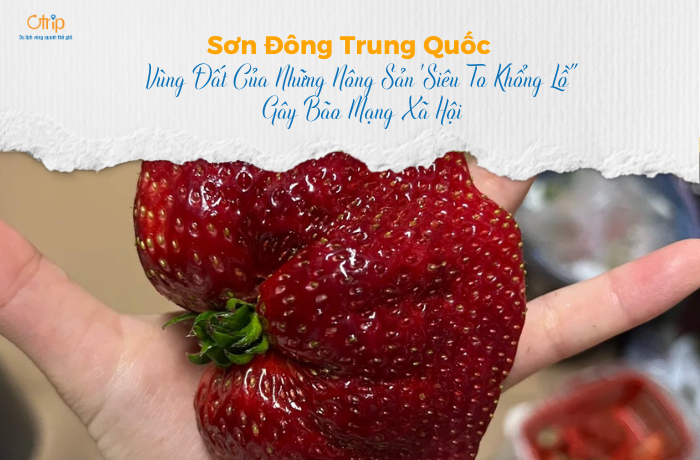 Sơn Đông Trung Quốc – Vùng Đất Của Những Nông Sản “Siêu To Khổng Lồ” Gây Bão Mạng Xã Hội
