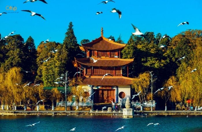 Nếu muốn kết hợp ngắm hải âu và khám phá văn hóa, công viên Đại Quan Lầu là lựa chọn lý tưởng.