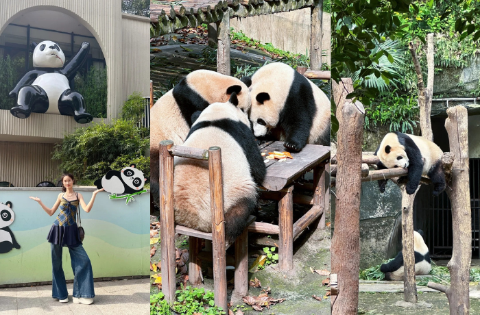 TOUR HÀ NỘI – TRÙNG KHÁNH – SỞ THÚ 4N3Đ BAY THẲNG PN