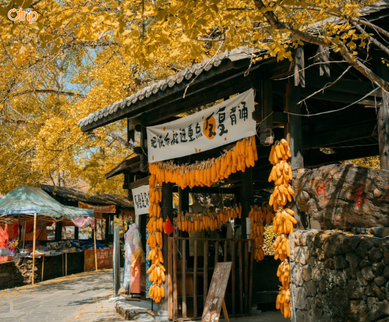 HÀ KHẨU – CÔN MINH – ĐẰNG XUNG – LÀNG NGÂN HẠNH – HOÀ THUẬN CỔ TRẤN 5N4Đ NO SHOPPING