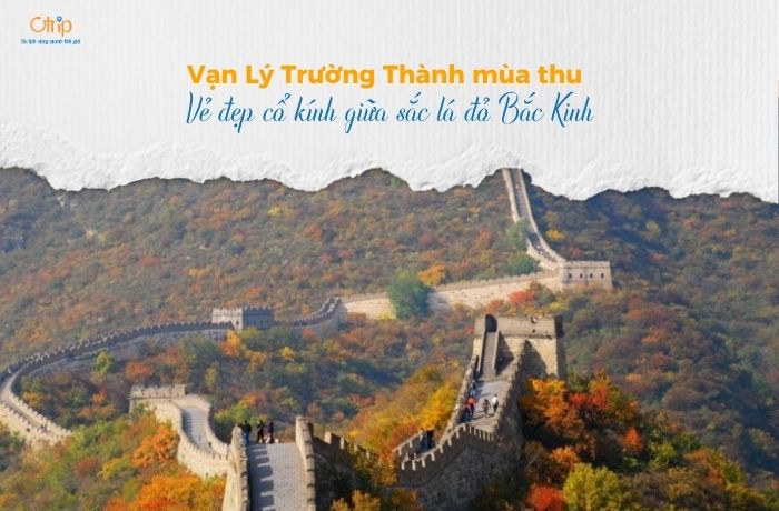 Vạn Lý Trường Thành mùa thu – Vẻ đẹp cổ kính giữa sắc lá đỏ Bắc Kinh